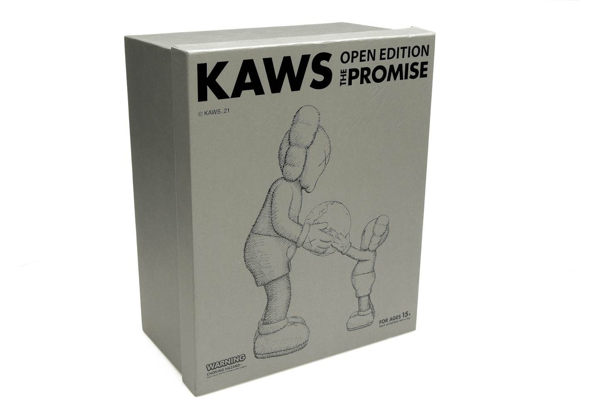 KAWS THE PROMISE Vinyl Figure Grey - view 2